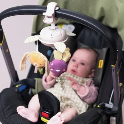 Muzikale tuinmobiel