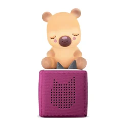 Nachtlamp knuffel Teddybeer FR