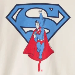 Oversized fleece sweatshirt Superman Warner voor babyjongen