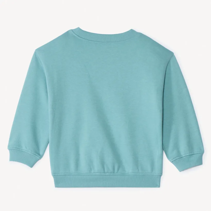 Oversized gebreid sweatshirt met print jongens.