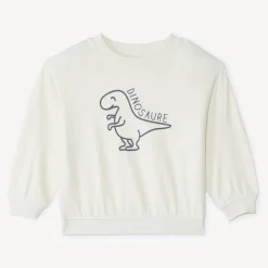 Oversized sweat met dino-print voor babyjongen