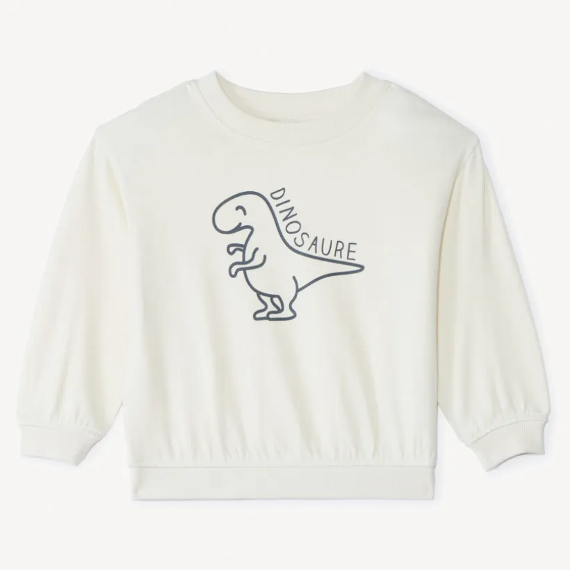Oversized sweat met dino-print voor babyjongen