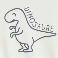 Oversized sweat met dino-print voor babyjongen