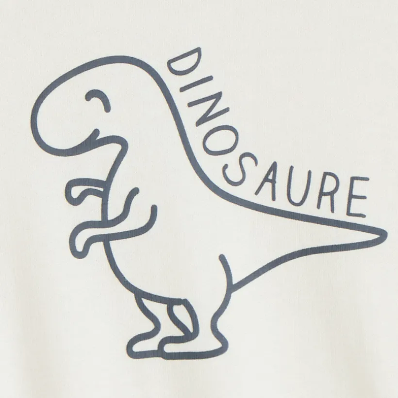 Oversized sweat met dino-print voor babyjongen