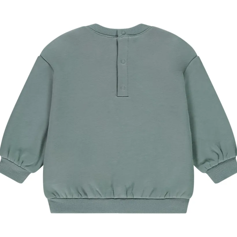 Oversized sweatshirt met dierenmotief voor babyjongen