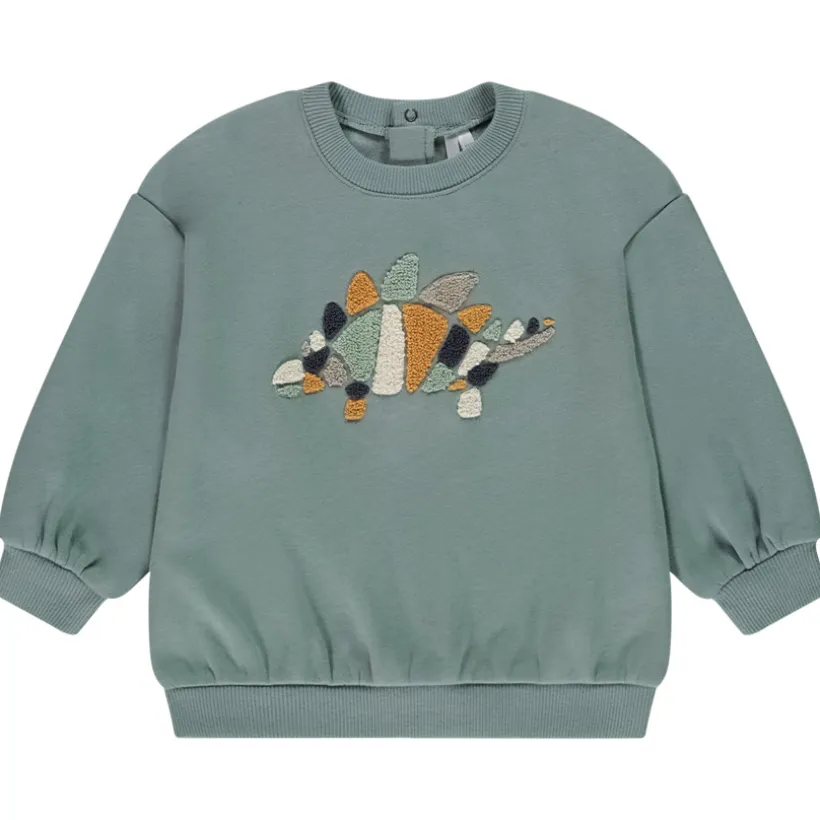 Oversized sweatshirt met dierenmotief voor babyjongen
