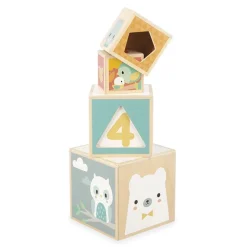 Piramides 6 Houten Blokken Pure