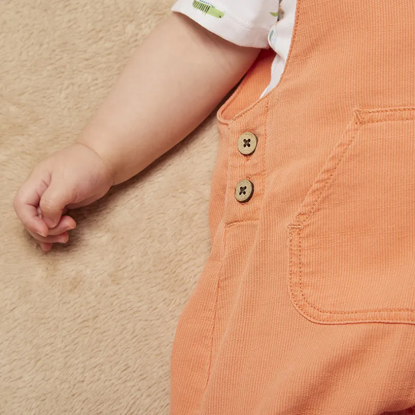 Set 2-delig korte salopette + bedrukt t-shirt voor baby jongen