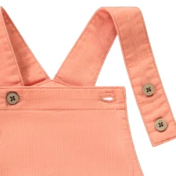 Set 2-delig korte salopette + bedrukt t-shirt voor baby jongen
