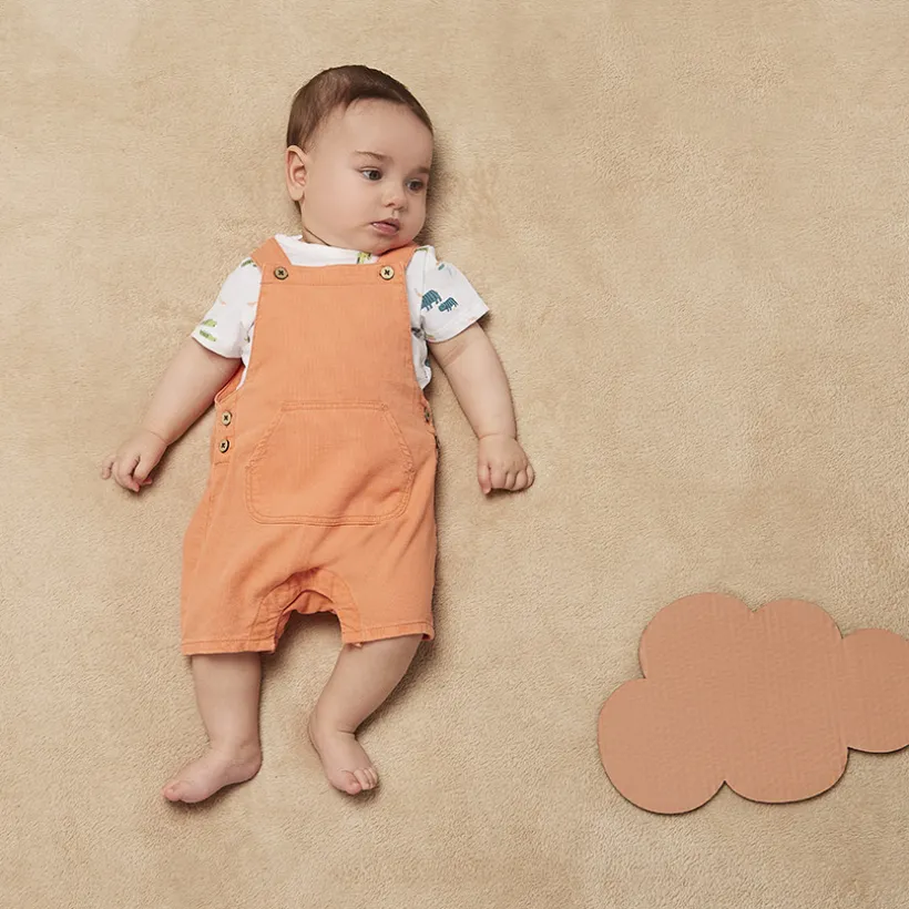 Set 2-delig korte salopette + bedrukt t-shirt voor baby jongen