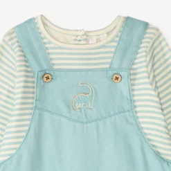 Set met tuinbroek + t-shirt met dino borduursel voor baby jongens