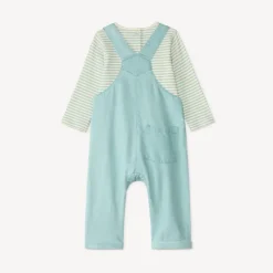 Set met tuinbroek + t-shirt met dino borduursel voor baby jongens