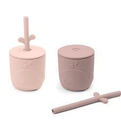 Set van 2 bekers met rietje – Wally Rose