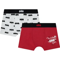 Set van 2 boxershorts Batman Warner jongens