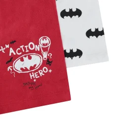 Set van 2 boxershorts Batman Warner jongens