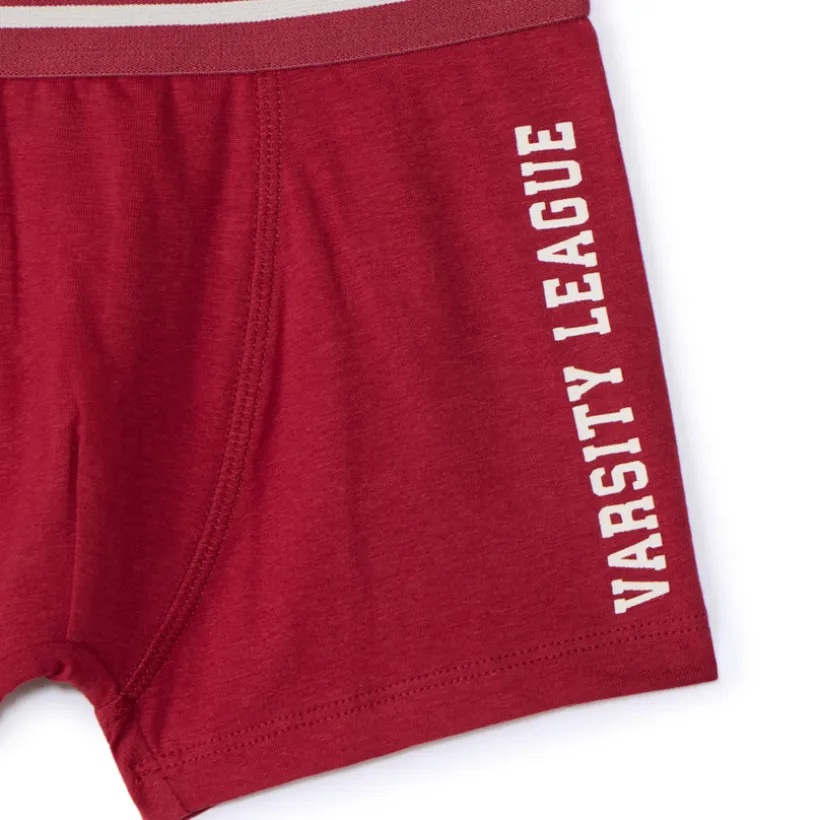 Set van 5 boxershorts, effen en gestreept, jongens