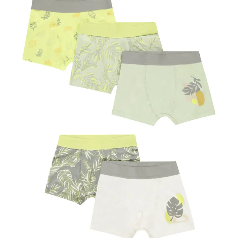 Set van 5 boxershorts met bladerenmotief voor jongen