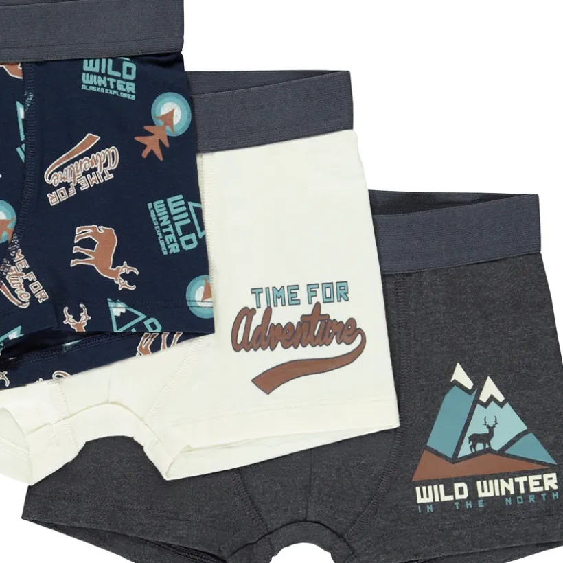 Set van 5 boxershorts met hertmotief jongens