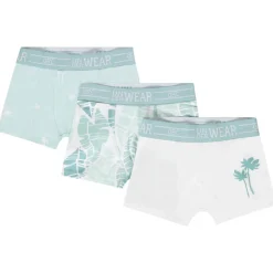 Set van 3 boxershorts met palmenmotief voor jongen