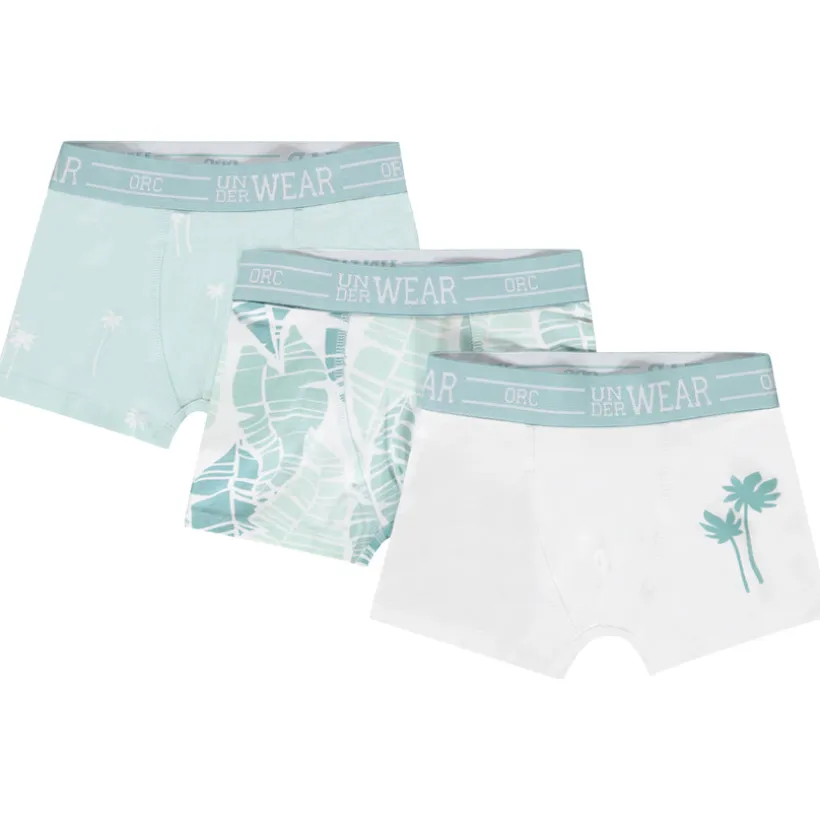 Set van 3 boxershorts met palmenmotief voor jongen