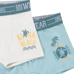 Set van 5 boxershorts met Turtle Island motief jongens