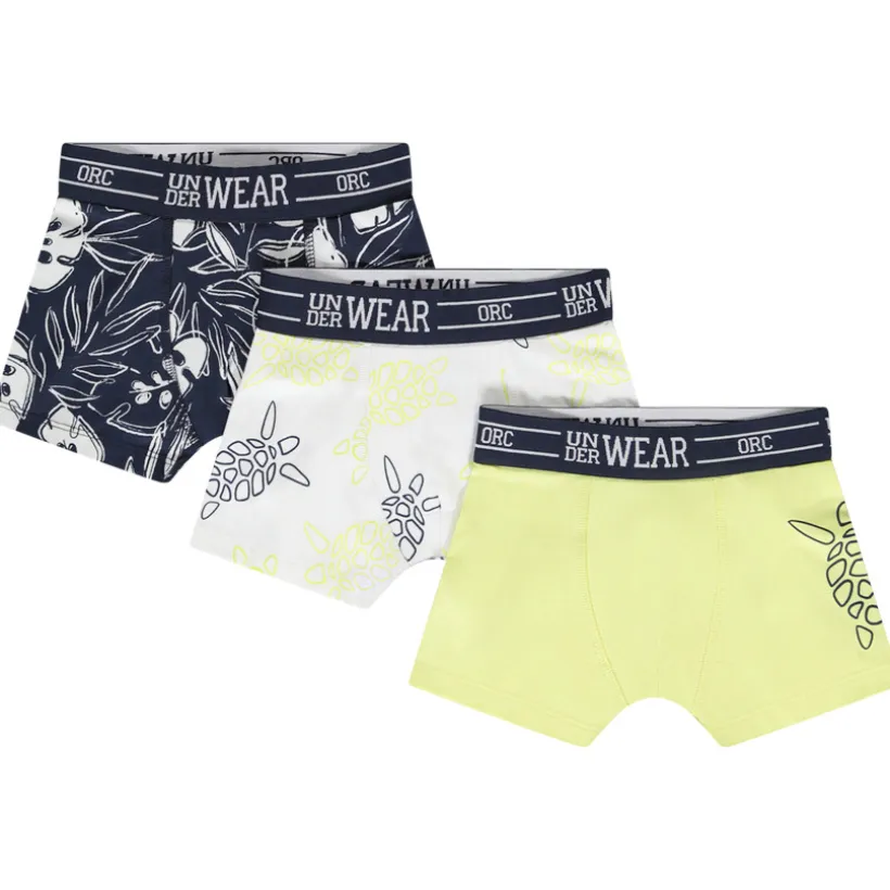 Set van 3 boxershorts met zeeschildpadmotief voor jongen
