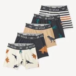 Set van 5 boxers met dinosaurussen jongens