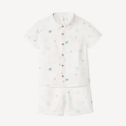 Set van 2 delen, shirt + korte broek met schildpaddendruk voor babyjongen