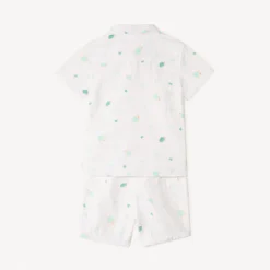 Set van 2 delen, shirt + korte broek met schildpaddendruk voor babyjongen