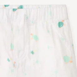 Set van 2 delen, shirt + korte broek met schildpaddendruk voor babyjongen