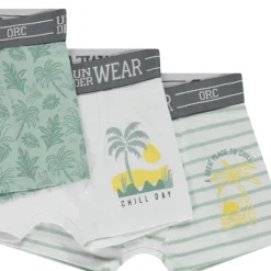 Set van 5 fantasie boxershorts jongens