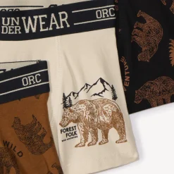 Set van 5 fantasie boxershorts Bear jongens