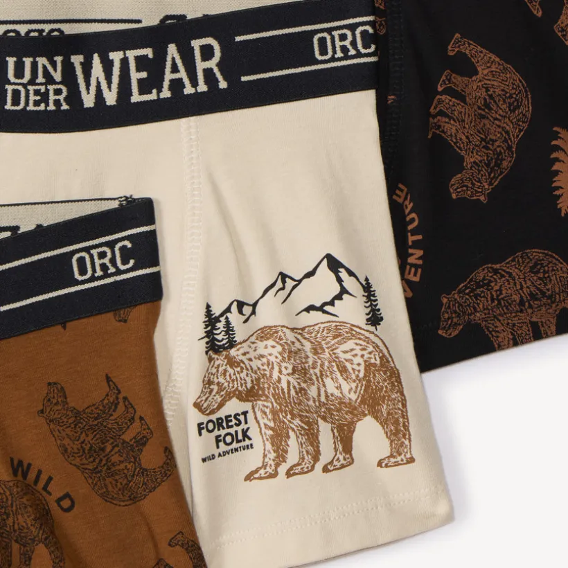 Set van 5 fantasie boxershorts Bear jongens