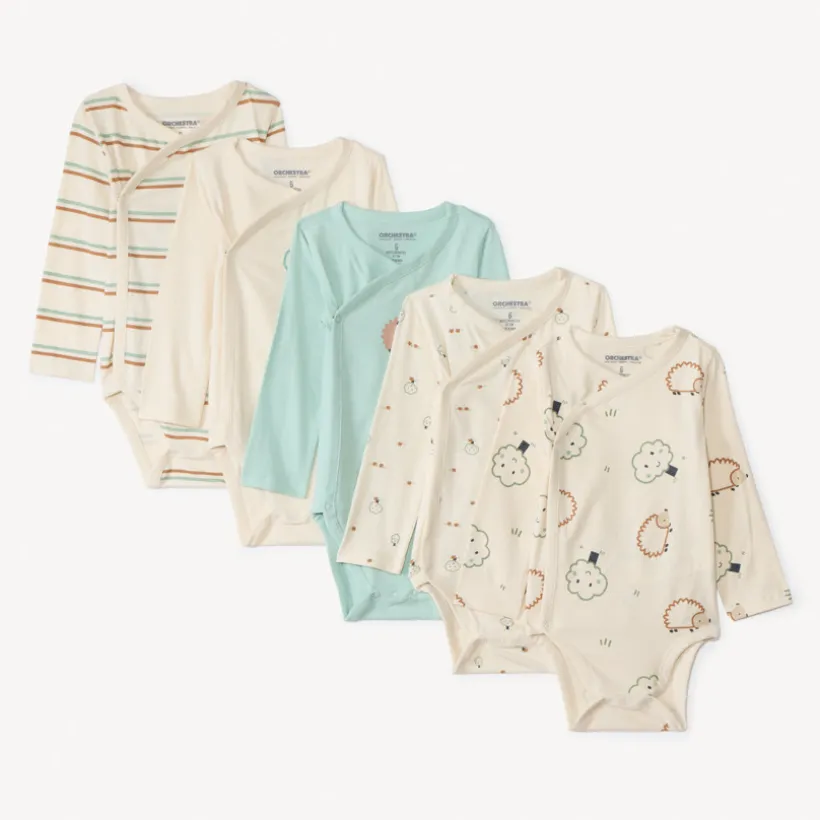 Set van 5 fantasievolle bodies met lange mouwen voor babyjongens met verschillende sluitingen volgens leeftijd