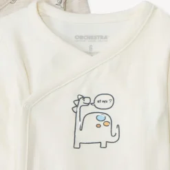Set van 5 lange mouwen Dinos rompertjes voor babyjongens met verschillende openingen, afhankelijk van de leeftijd.