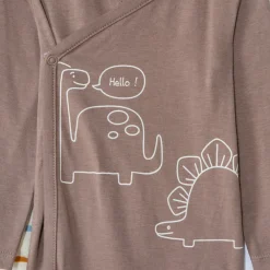 Set van 5 lange mouwen Dinos rompertjes voor babyjongens met verschillende openingen, afhankelijk van de leeftijd.