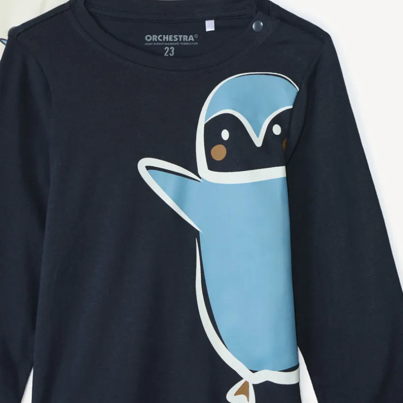 Set van 4 longsleeve T-shirts met pinguïnprint voor babyjongens