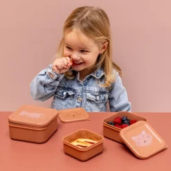 Set van 3 nestbare roze lunchboxen Mrs. Cat
