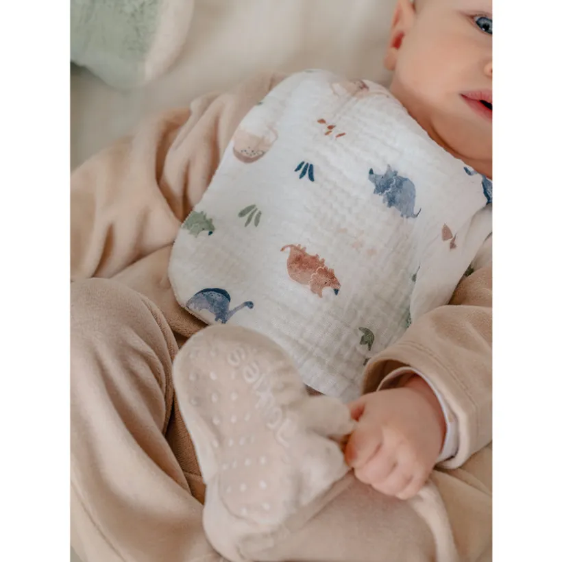 Set van 3 slabbetjes mousseline Bio Dinos 1-12m