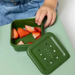 Set van 3 snackboxen Mr. Alligator