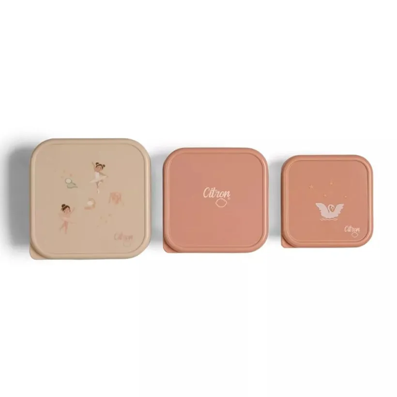 Set van 3 stapelbare roestvrije lunchbox Ballerina