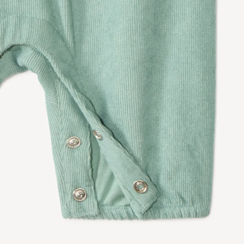 Set van 2 stukken voor babymeisjes, t-shirt en schattige salopette.
