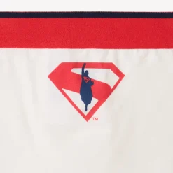 Set van 3 Superman Warner boxershorts jongens