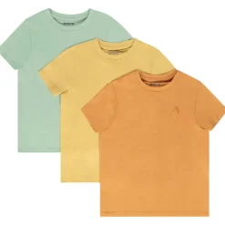 Set van 3 t-shirts met korte mouwen en palmprint jongens