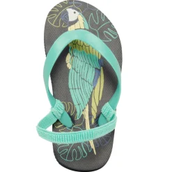 Slippers met papegaaienprint jongens met bandje volgens leeftijd