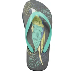 Slippers met papegaaienprint jongens met bandje volgens leeftijd