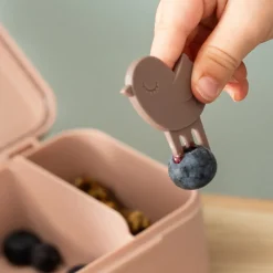 Snackbox met snackprikkers Tiny Farm Roze