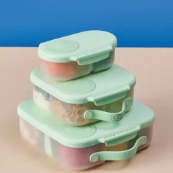 Snackbox 350ml Spear Mint