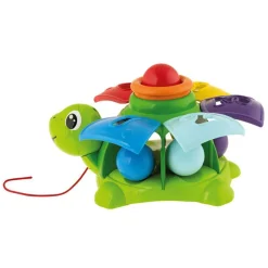Speelgoed om te oefenen - Schildpad met ballen