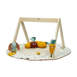 Speelkleed Luxe Gymini Garden of Adventures